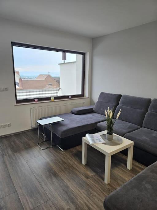 Gemuetliche Ferienwohnung Mülheim-Kärlich Kültér fotó